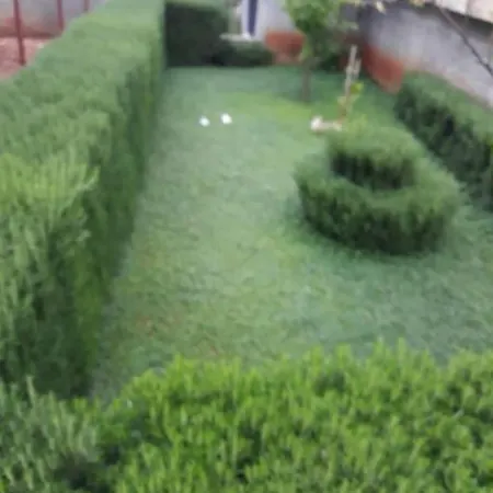 Apartament Sime